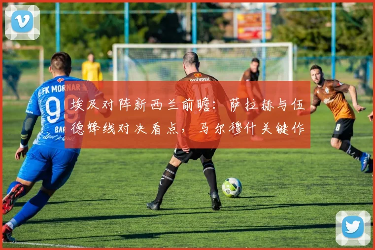 埃及对阵新西兰前瞻:萨拉赫与伍德锋线对决看点,马尔穆什关键作用解析,附双方首发阵容深度剖析