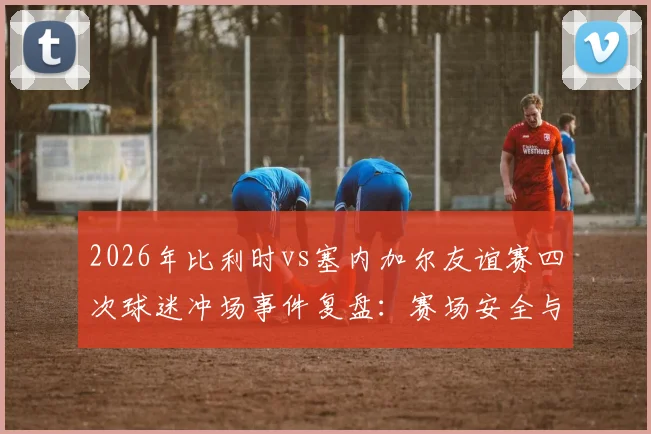 2026年比利时vs塞内加尔友谊赛四次球迷冲场事件复盘:赛场安全与球迷行为管理的焦点讨论